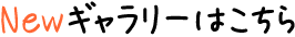 ギャラリーはこちら